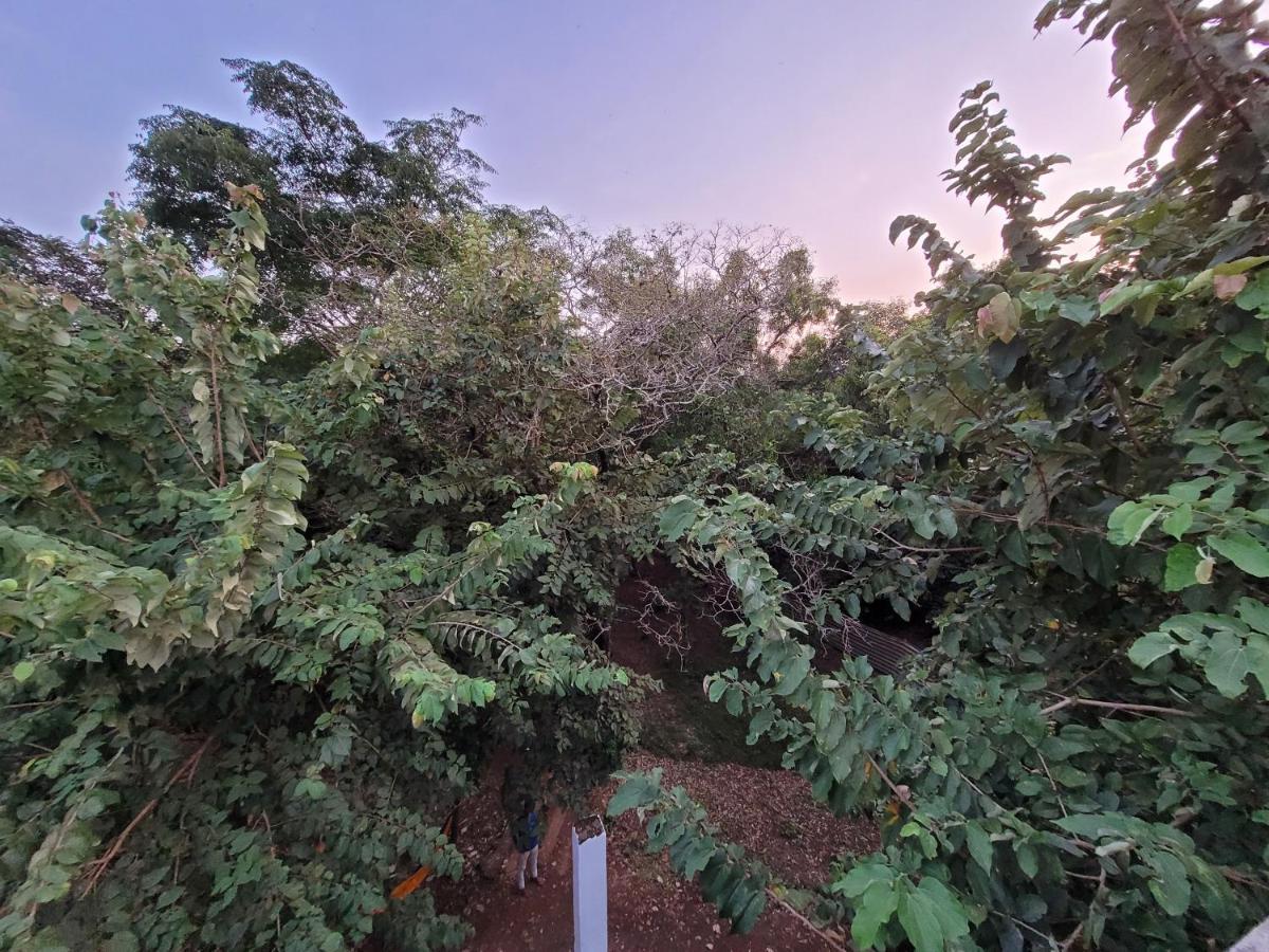 Sunny'S Paradise Gokarna (Karnataka) Luaran gambar