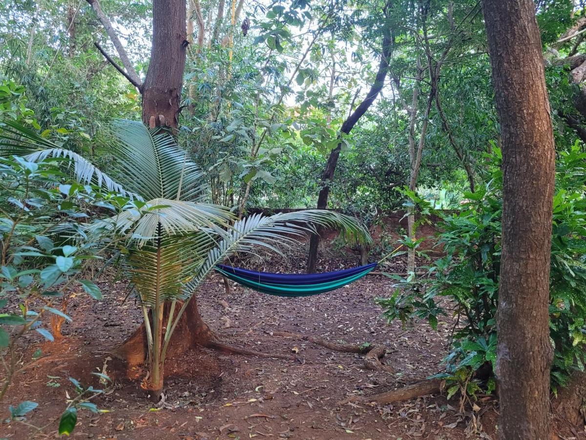 Sunny'S Paradise Gokarna (Karnataka) Luaran gambar