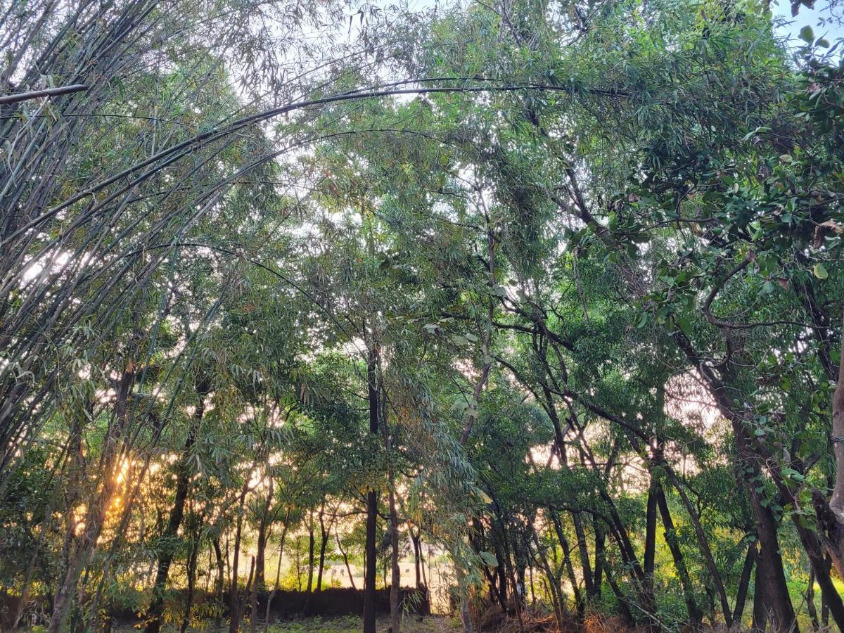 Sunny'S Paradise Gokarna (Karnataka) Luaran gambar
