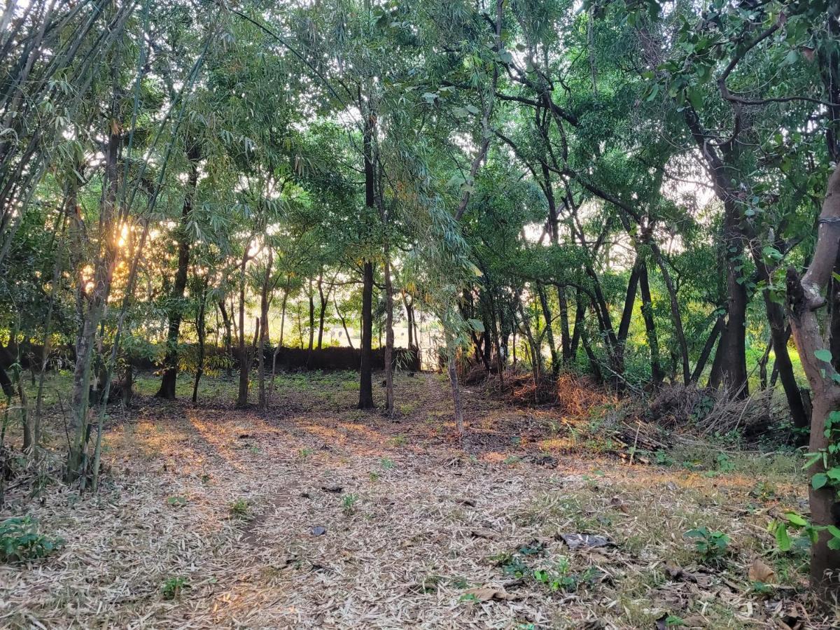 Sunny'S Paradise Gokarna (Karnataka) Luaran gambar